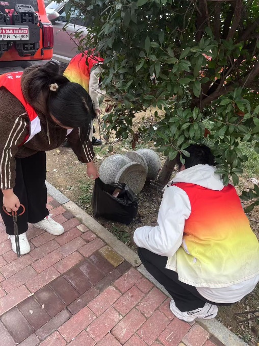 图片 3
