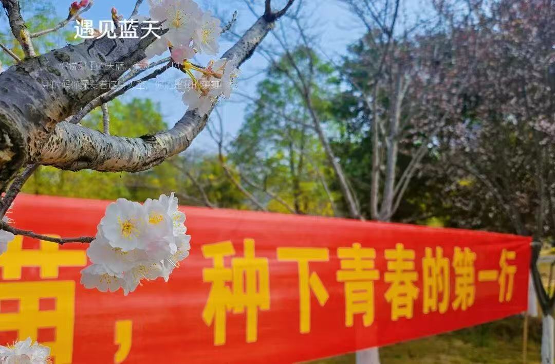 47948da7793a8b06c46e1d68d837b9a9