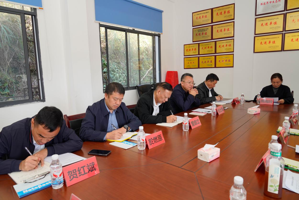 党委实地调研 为驻村帮扶把脉定向