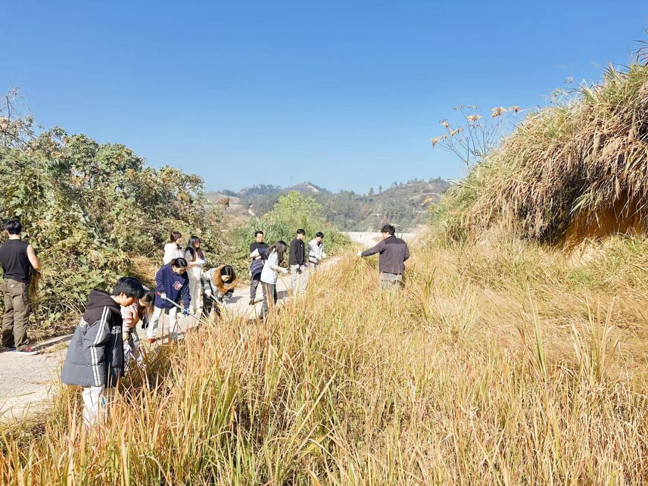 5c982c2f781d1a7c13f5fda0ea995dcc