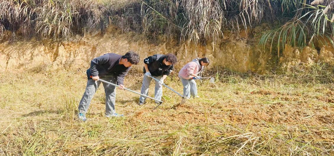 038f231f91856f028e50faba0ced8e5c