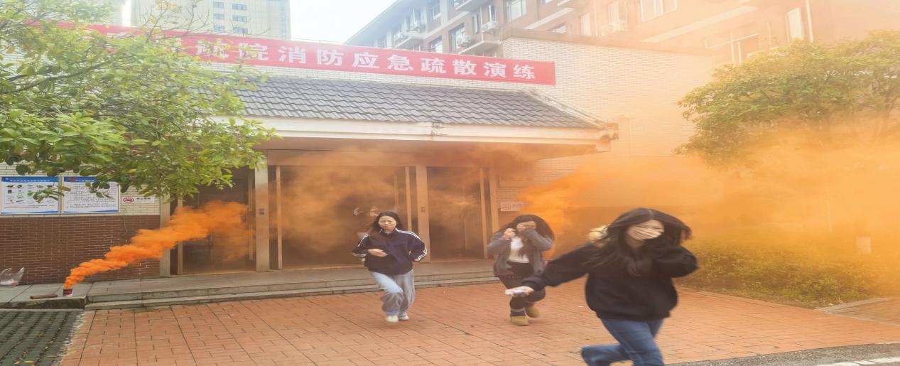 2172682bdd6b58b35ef6bbaa6a08d72c