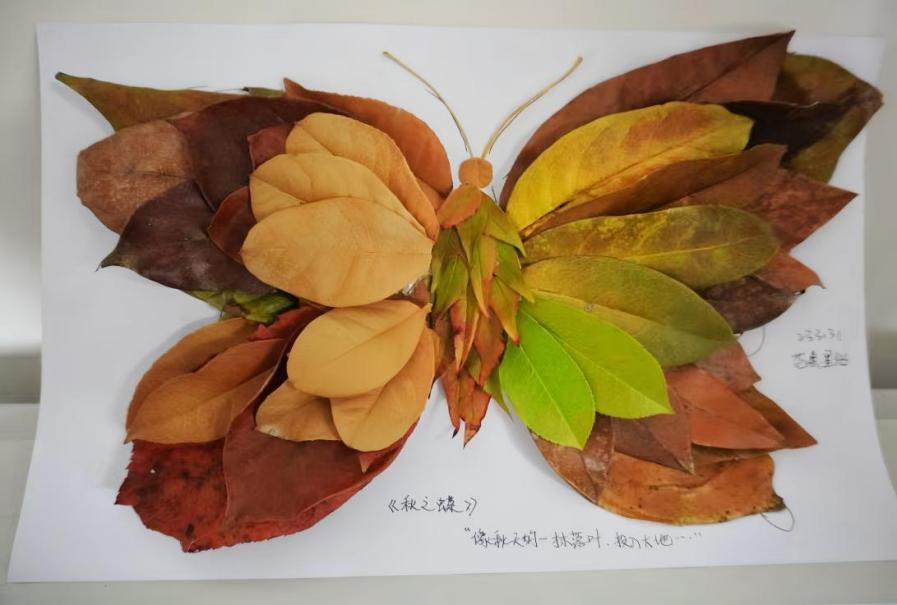 /zhizao/upload/images/2024/12/53bedf520f3ee079.jpeg