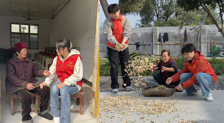 图片2_副本_副本